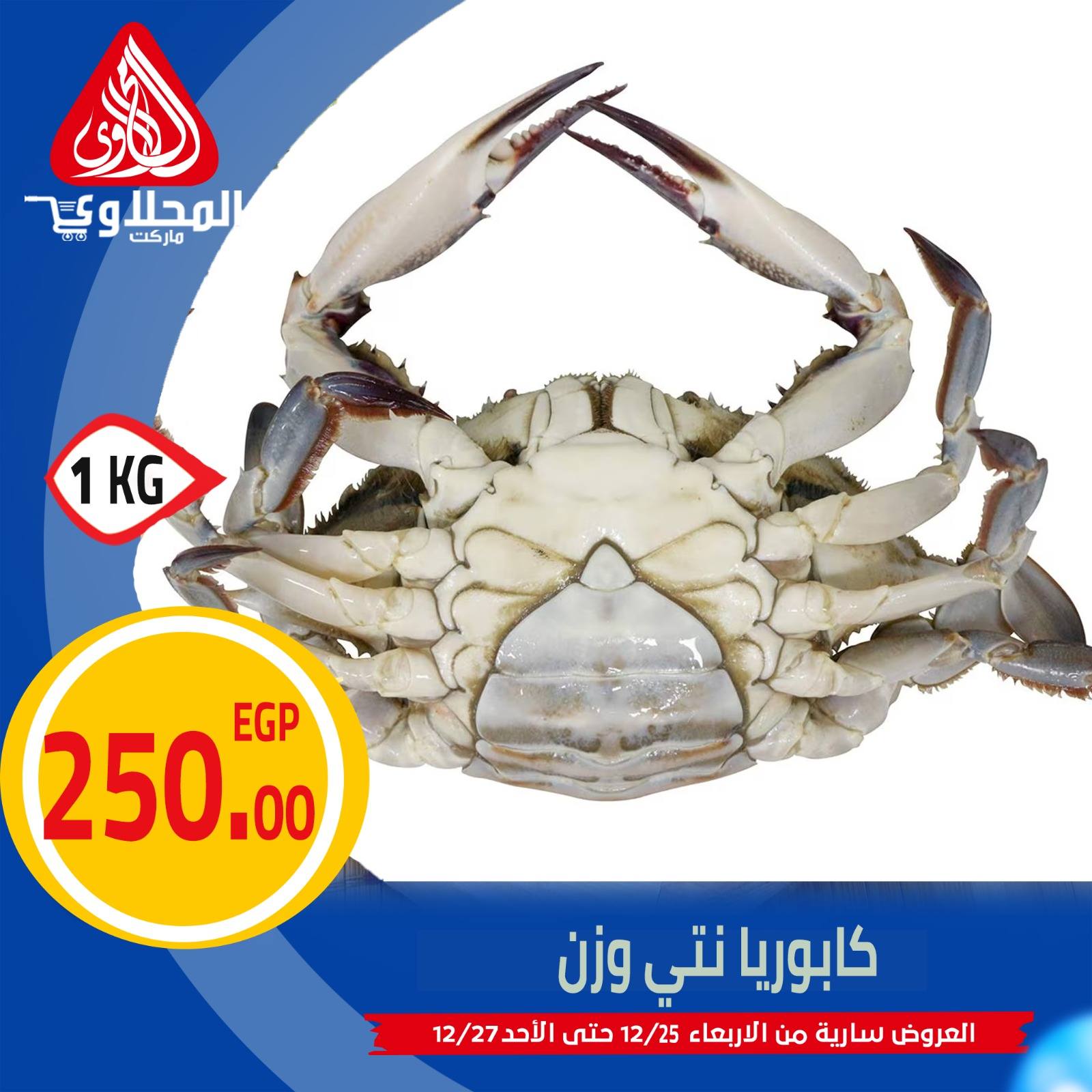 el-mahallawy offers from 25dec to 27dec 2025 عروض المحلاوي من 25 ديسمبر حتى 27 ديسمبر 2025 صفحة رقم 2